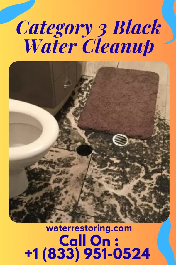 Category 3 Black Water Cleanup in Emet, OK